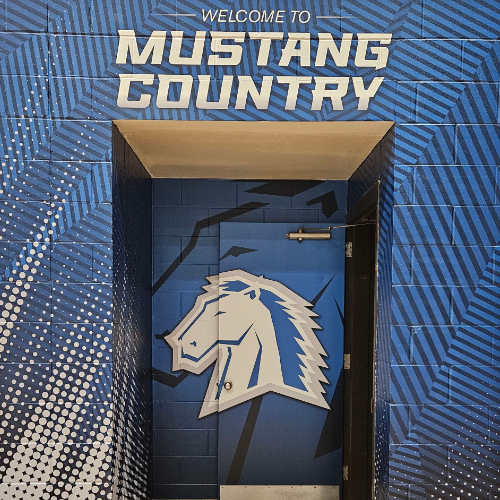 Rough Surface Graphics - Mustang Country